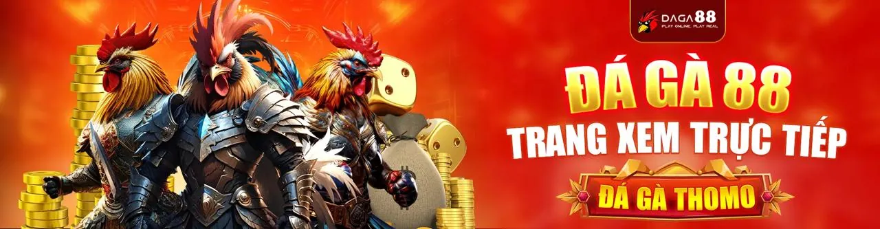 Đá gà trực tuyến kịch tính tại win555 99k